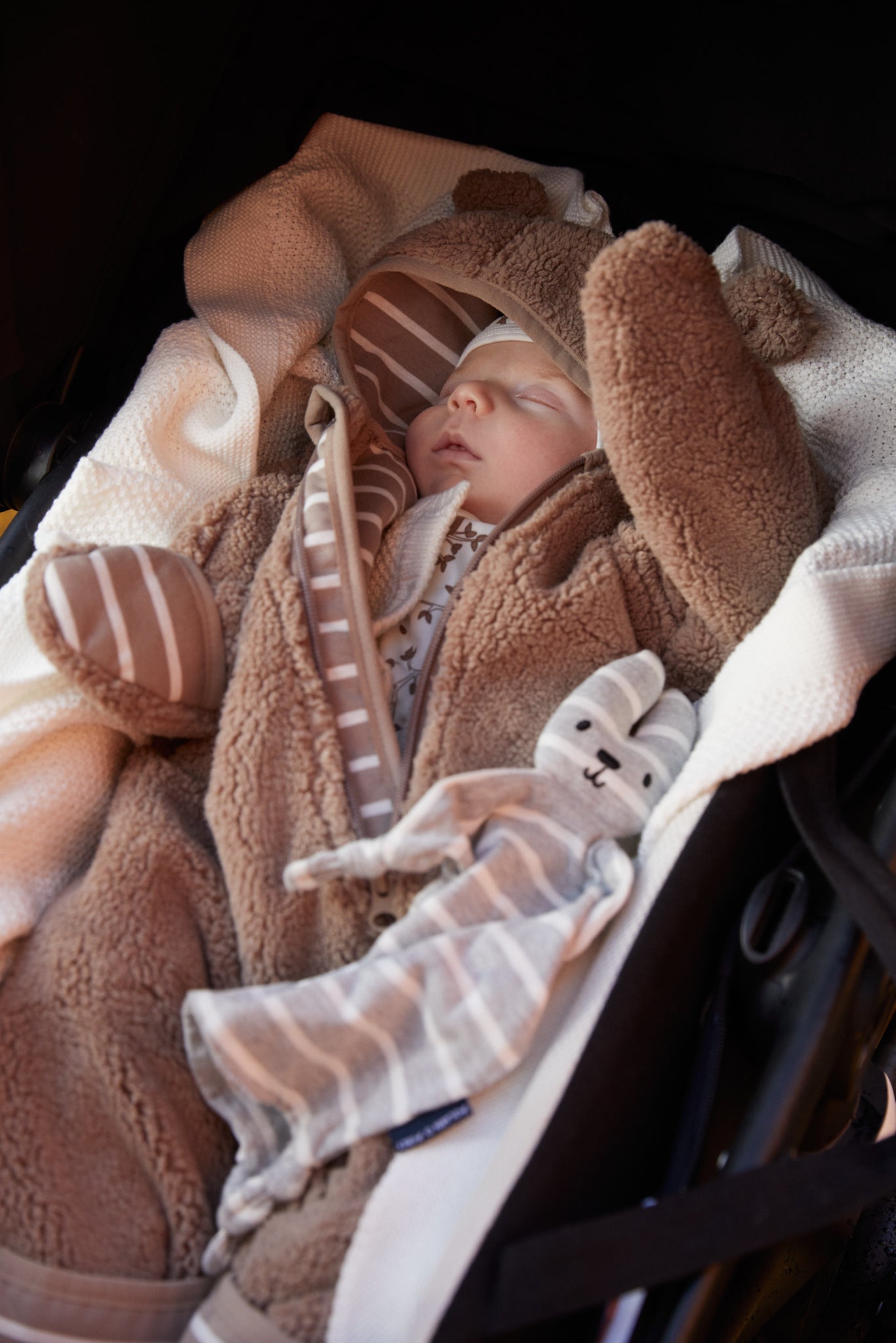 Sherpa Fleece Baby Pramsuit