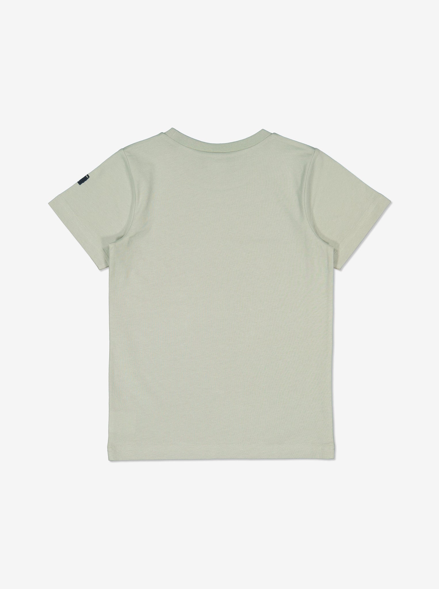Organic Cotton Grey Kids T-Shirt